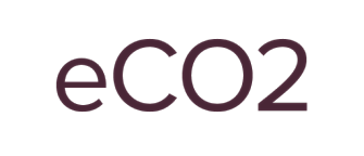 eCO2 logo or symbol representation